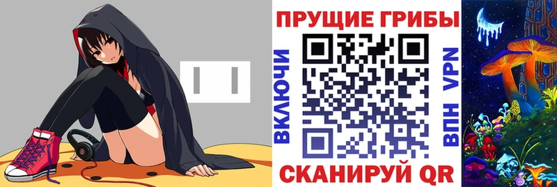kraken зеркало Михайлов Псилоцибиновые грибы Psilocybe
